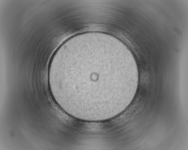 X0000111040836200907161343