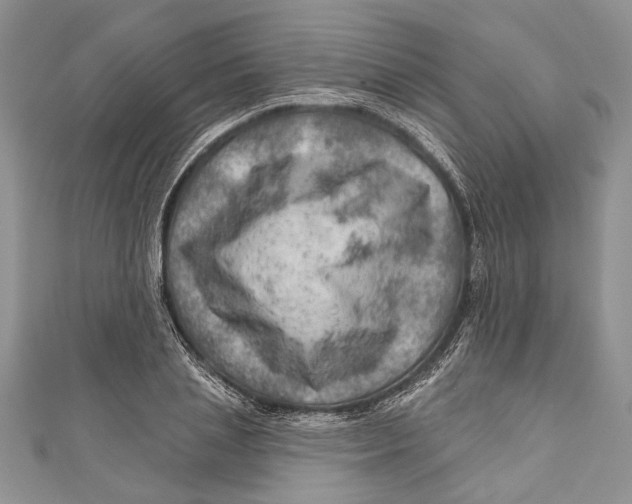 X0000111040837200907161343