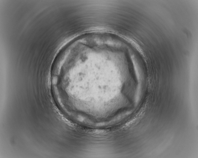 X0000111040839200907161343