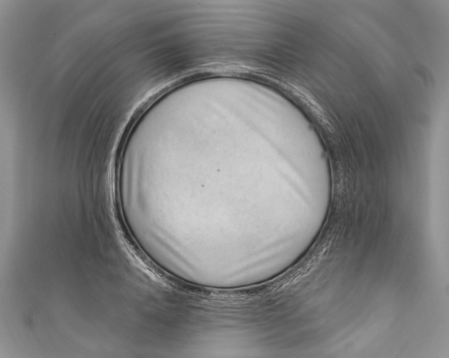 X0000111040840200907161343