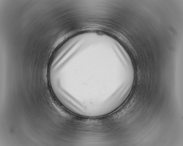 X0000111040842200907161343