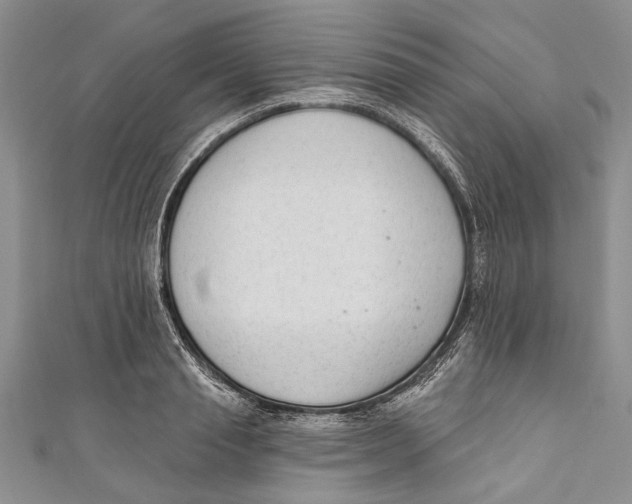 X0000111040845200907161343