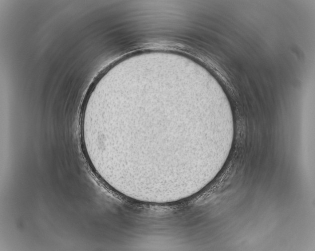 X0000111040848200907161343