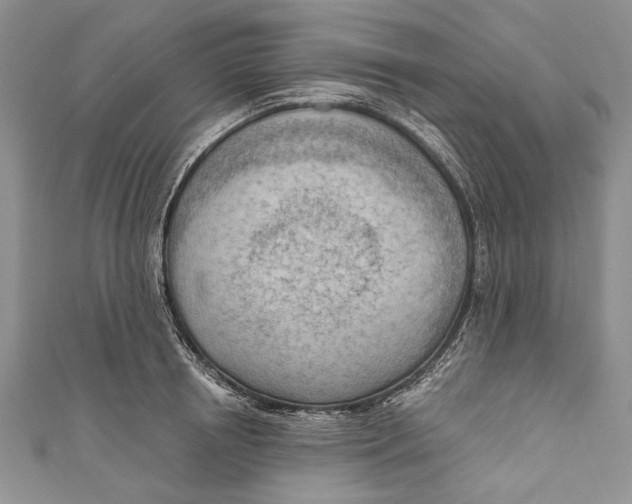 X0000111040850200907161343