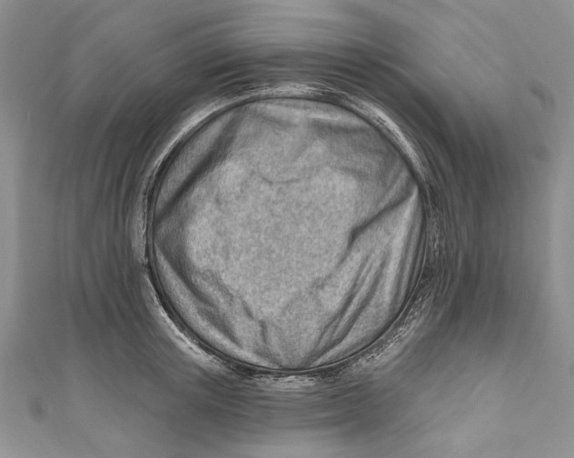 X0000111040851200907161343