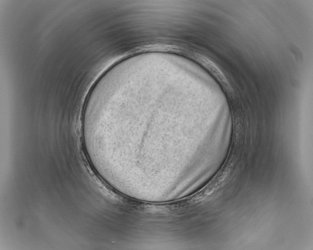 X0000111040852200907161343