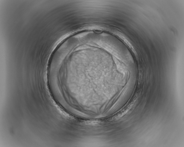 X0000111040853200907161343