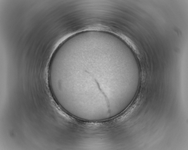 X0000111040854200907161343