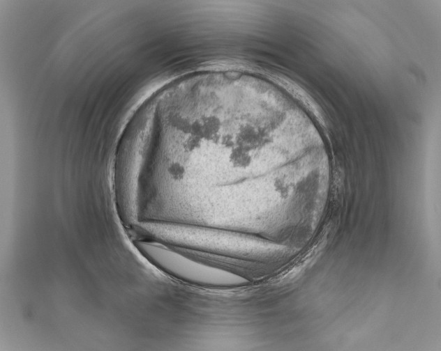 X0000111040855200907161343