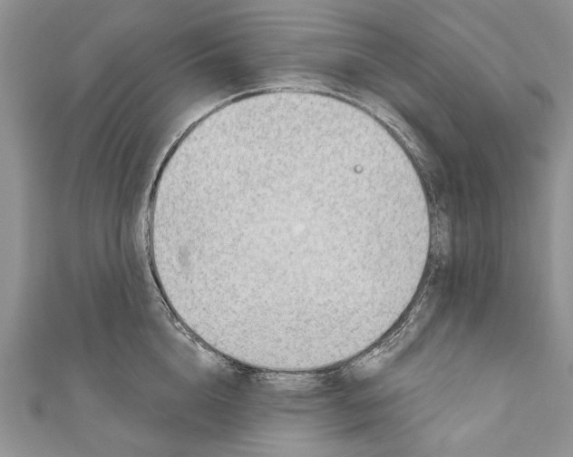 X0000111040856200907161343