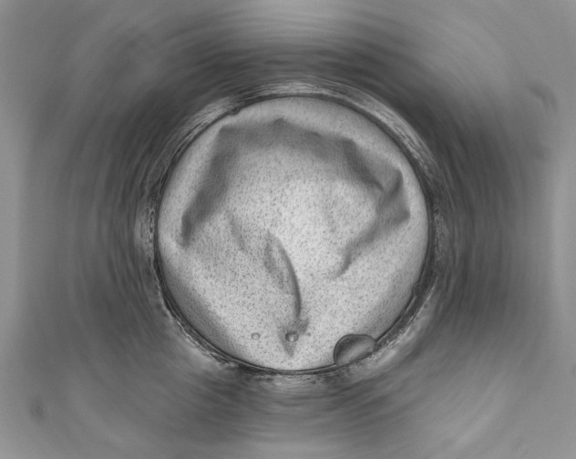 X0000111040857200907161343