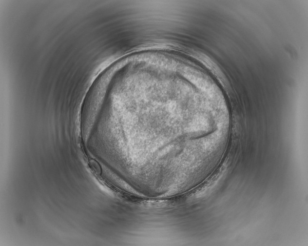 X0000111040858200907161343