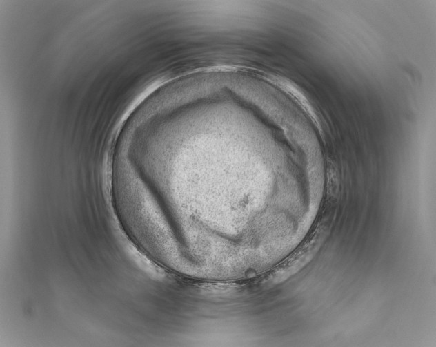 X0000111040859200907161343