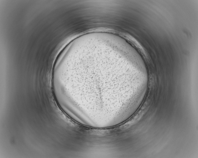 X0000111040860200907161343