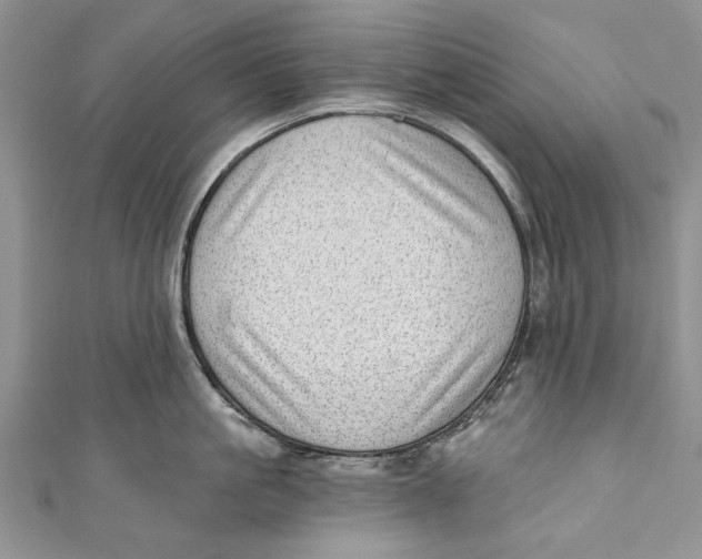 X0000111040861200907161343