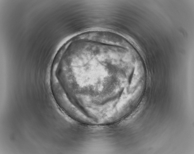 X0000111040862200907161343