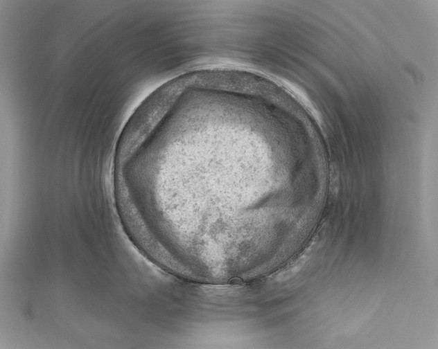 X0000111040863200907161343