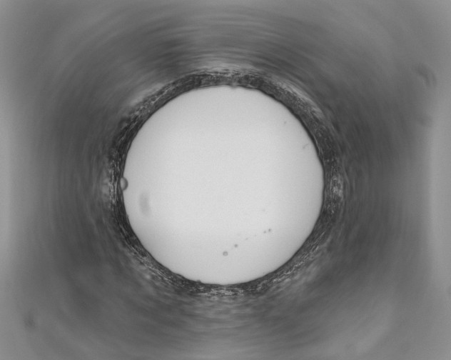 X0000111040869200907161342