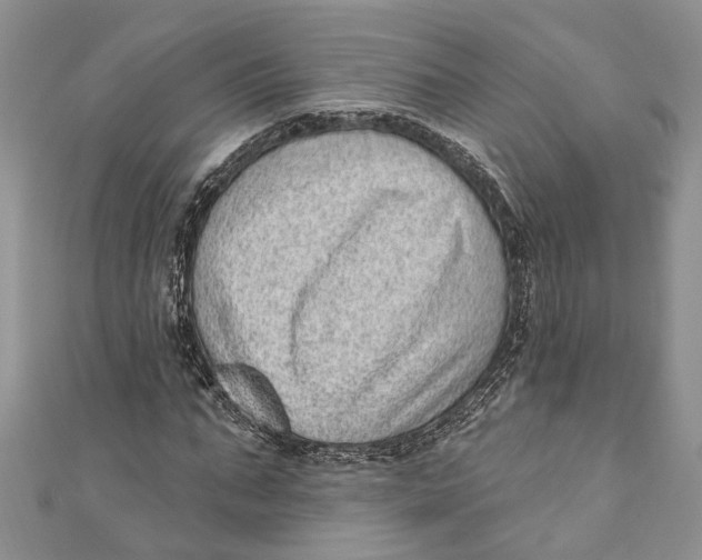 X0000111040871200907161342