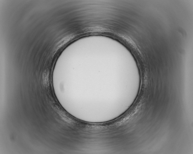 X0000111040873200907161342