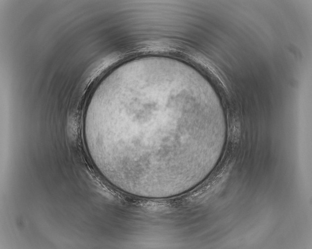 X0000111040874200907161342