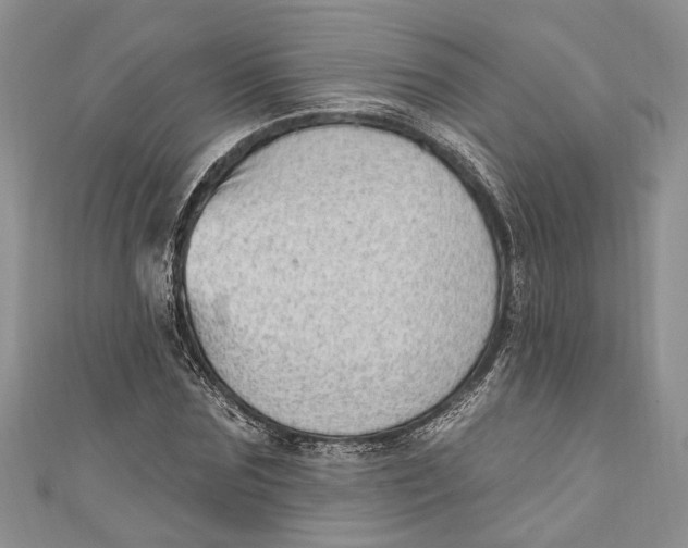 X0000111040875200907161342