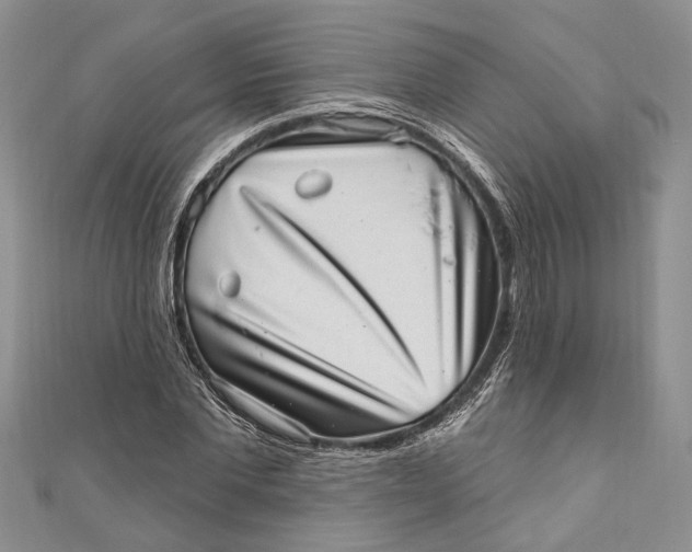 X0000111040877200907161342