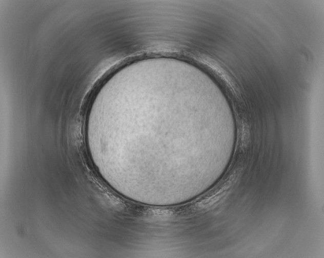 X0000111040878200907161342