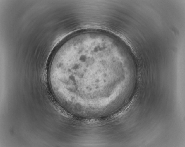 X0000111040879200907161342