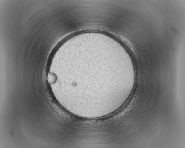 X0000111040880200907161342