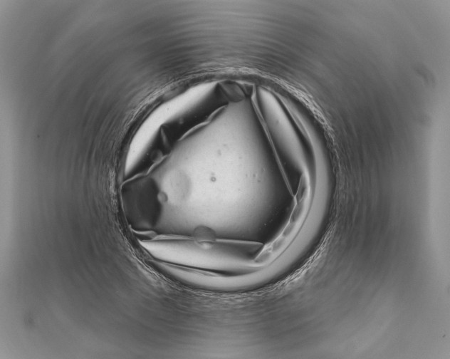 X0000111040881200907161342