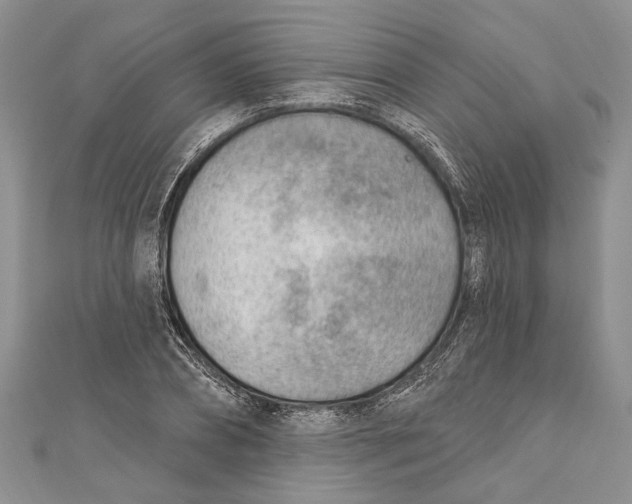 X0000111040882200907161342