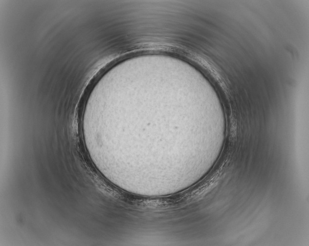 X0000111040883200907161342