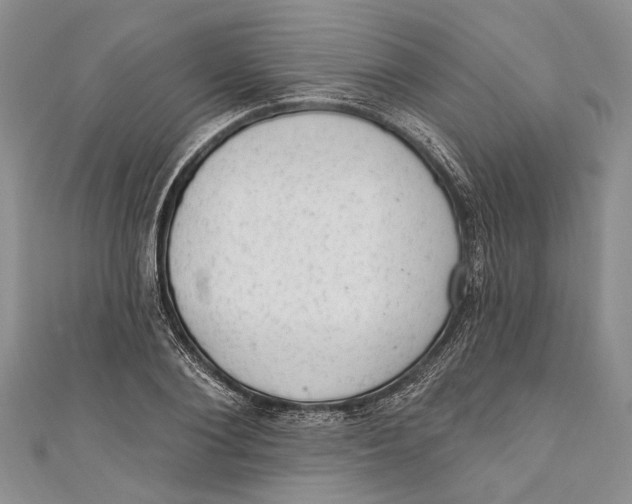 X0000111040884200907161342