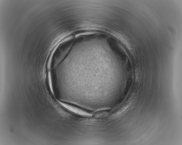 X0000111040885200907161342