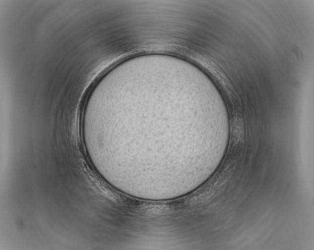 X0000111040886200907161342