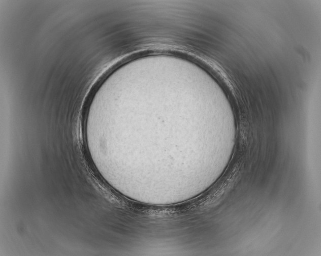 X0000111040887200907161342