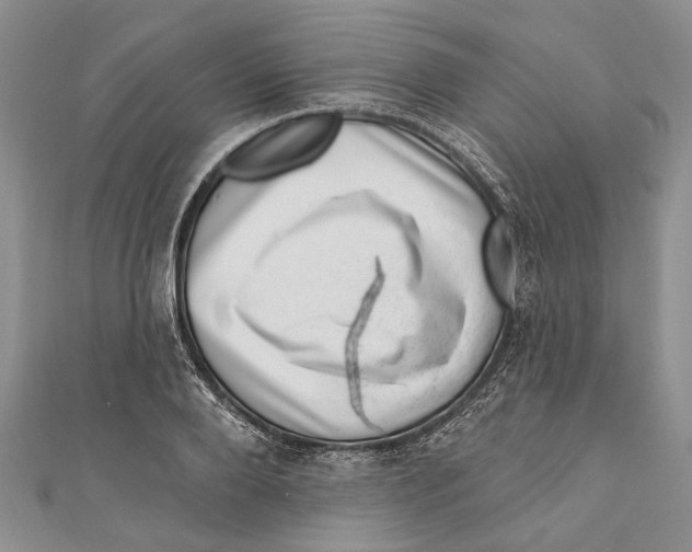 X0000111040888200907161342