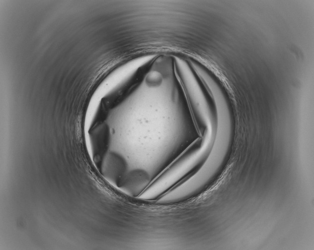 X0000111040889200907161342