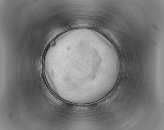 X0000111040890200907161342