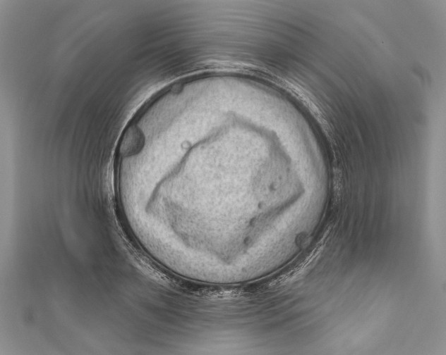 X0000111040891200907161342