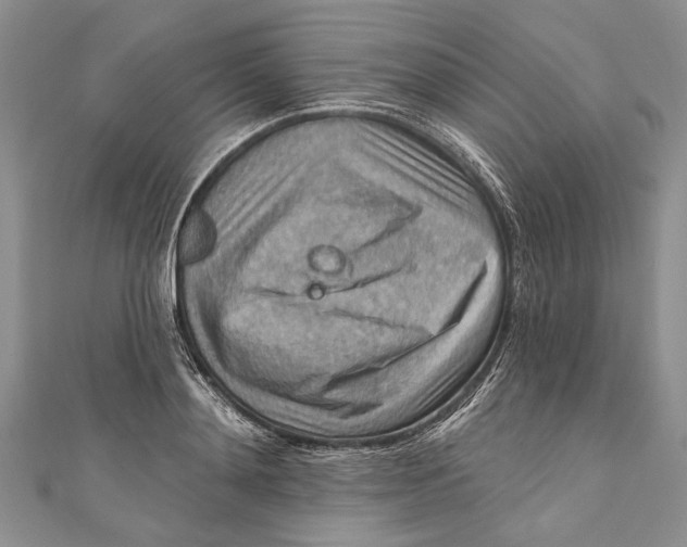 X0000111040892200907161342