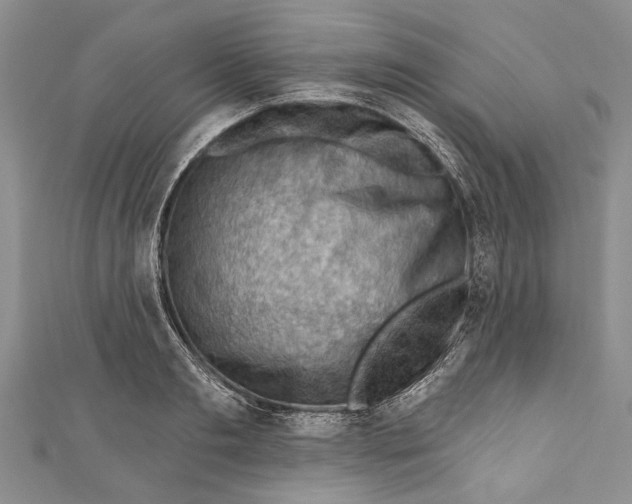 X0000111040893200907161342