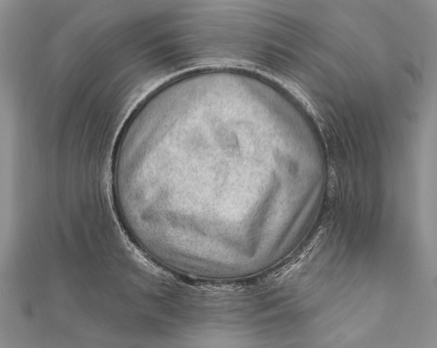 X0000111040895200907161342