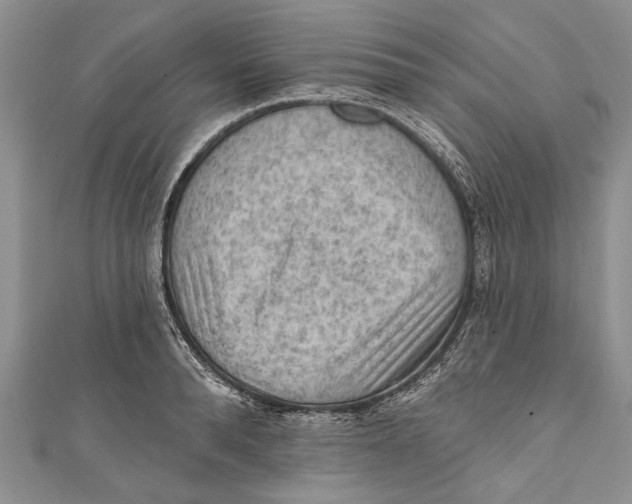 X0000111040896200907161342