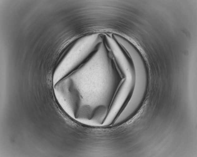 X0000111040897200907161342