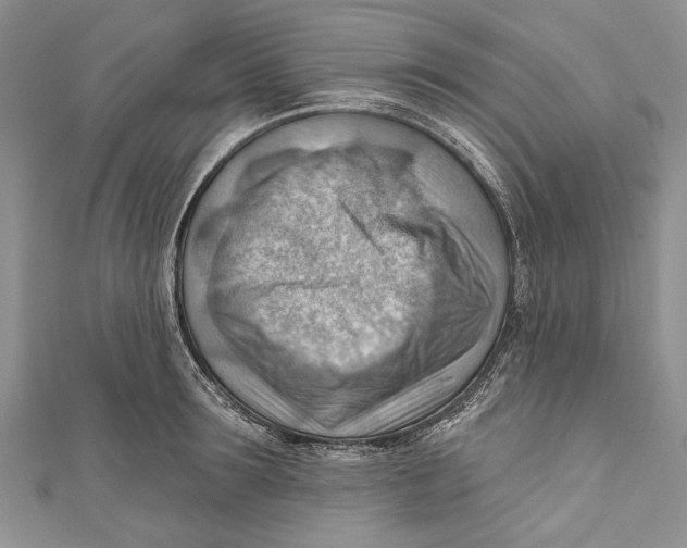 X0000111040899200907161342