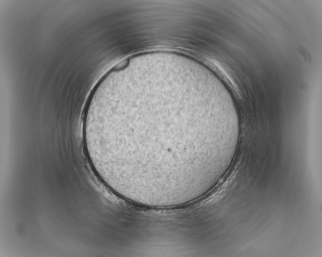 X0000111040900200907161342