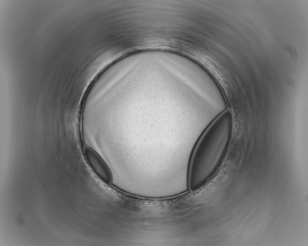 X0000111040901200907161342