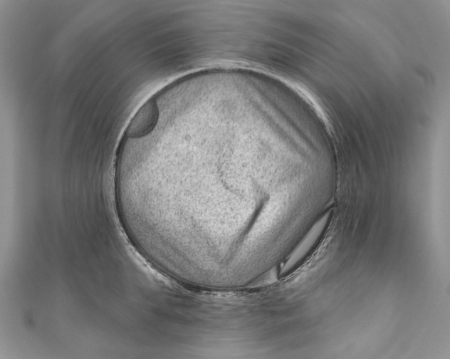 X0000111040903200907161342